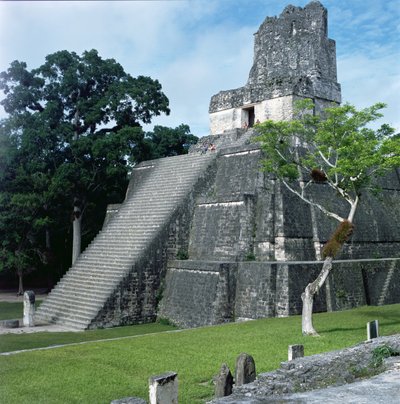 Temple 2, Late Classic Period by Mayan